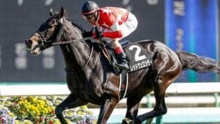 【次走】水仙賞を勝利のレッドヴェロシティは青葉賞を予定