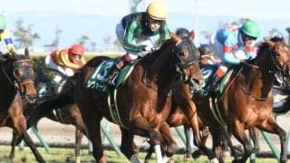 【次走】シヴァージは吉田隼人騎手との新コンビで高松宮記念へ