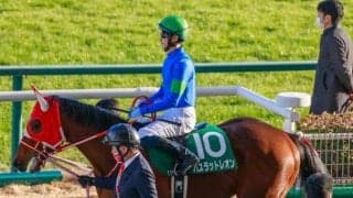 【次走】シンザン記念3着のバスラットレオンと新人女性騎手・古川奈穂騎手が新コンビ