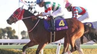 【エンプレス杯・馬体重】マルシュロレーヌは457kg(-11)、プリンシアコメータは494kg(-1)