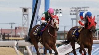 【エンプレス杯】マルシュロレーヌが完勝！交流重賞3勝目