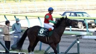 マイネルハニーが競走馬登録抹消