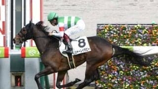 チューリップ賞は、天国に旅立ったジャングルポケットの血を継ぐ１頭に注目