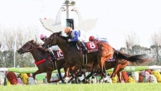 ロードクエストが競走馬登録抹消