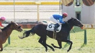 弥生賞のダノンザキッドは絶対か。「否」と言う穴党記者が推す伏兵２頭