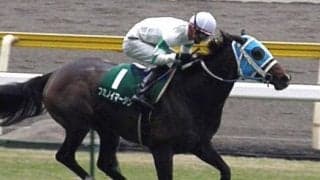 【JRA】地震の影響で1回福島競馬を新潟に変更、福島牝馬Sは新潟外回り1800mに