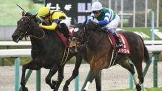 【チューリップ賞結果】メイケイエールとエリザベスタワーの1着同着　武豊騎手は35年連続JRA重賞制覇