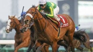 【金鯱賞】サトノフラッグはルメール騎手とのコンビ　昨年の皐月賞以来2度目