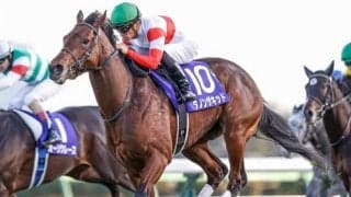 【弥生賞】ダノンザキッド安田隆師「いいかたちで本番に向かいたい」/ねぇさんのトレセン密着