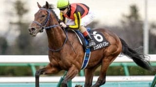 【弥生賞ディープ記念予想】レースセンスの高いシュネルマイスターに期待