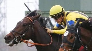 【チューリップ賞】川田「コントロールが難しい」メイケイ、エリザベスの同着V