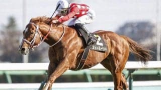 【JRA】8歳馬ストーミーシーが屈腱炎により引退、種牡馬入り　2020年東風Sなどリステッド2勝