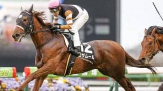 【中山牝馬S展望】一筋縄ではいかないハンデ重賞、あの穴馬に期待したい