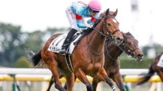 【フィリーズレビュー出走馬決定順】フルゲート18頭に27頭　9頭はアネモネSにも登録