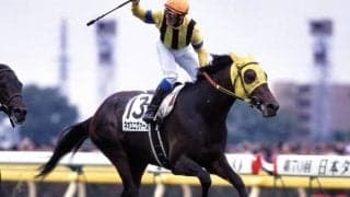 2003年の二冠馬ネオユニヴァースが死亡　産駒にはヴィクトワールピサなど