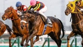 【中山牝馬Sハンデ確定】ドナアトラエンテは53.0kg、フェアリーポルカは55.0kg