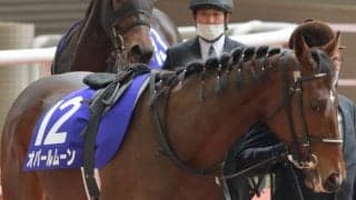 【フィリーズレビュー予想オッズ】オパールムーン・ヨカヨカらが人気の中心