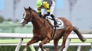 【ブリリアントC・TR】移籍後16戦13勝！ フィアットルクスが断然人気に応え3馬身半差で快勝