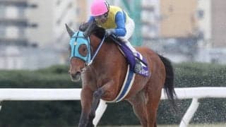 【名古屋・中京ペガスターC結果】ブンブンマルが圧倒的人気に応えて重賞3連勝！