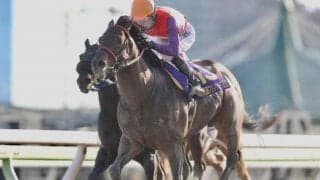 【大井・フジノウェーブ記念結果】キャプテンキングが復活の重賞V