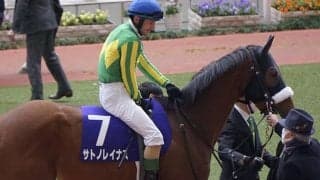 【桜花賞】阪神JF2着サトノレイナスは引き続きルメール騎手とコンビ