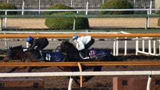 クロノジェネシス、ドバイシーマC2週前追い切り速報/栗東トレセンニュース