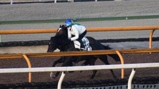 アリストテレス、阪神大賞典1週前追い切り速報/栗東トレセンニュース