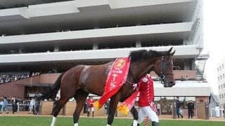 【高松宮記念想定】香港スプリント覇者ダノンスマッシュ、阪急杯レコードVレシステンシアなど