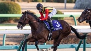 【次走】ランドオブリバティのスプリングSは引き続き三浦皇成騎手とのコンビに