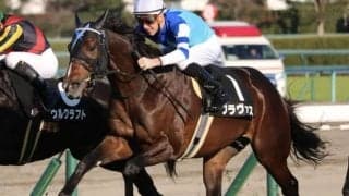 【金鯱賞展望】大阪杯のステップレース、注目はあの馬