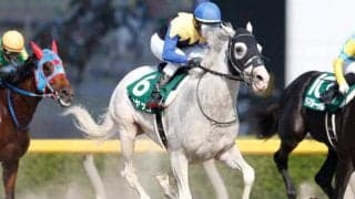 【次走】白毛馬ハヤヤッコはマーチSへ