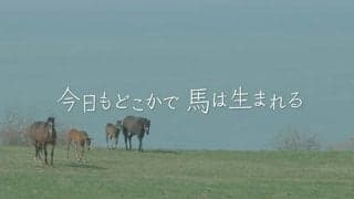 映画「今日もどこかで馬は生まれる」のDVD販売再開