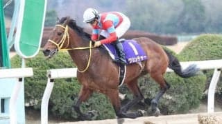 【名古屋大賞典】クリンチャー6枠7番