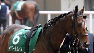 【フィリーズレビュー展望】毎年フルゲートの桜花賞トライアル