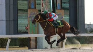 【名古屋大賞典】クリンチャーが交流重賞連勝