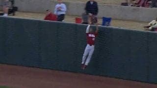 本当にアウト？　観客も勘違いした“お騒がせ”HRキャッチにファン「必見だ」