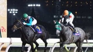 プリンシアコメータが競走馬登録抹消
