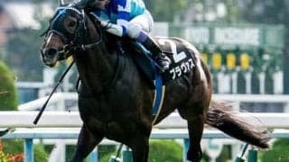 金鯱賞の注目はデアリングタクトだが、一発あるのはＧII初出走の血統馬