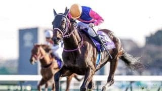 【阪神スプリングジャンプ予想】メイショウダッサイ、勝って堂々中山グランドジャンプへ