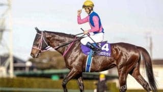 【本日の注目ポイント】中山で中山牝馬S、阪神で阪神スプリングJ