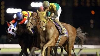 【地方競馬】11歳のGI馬サウンドトゥルーが骨折で引退、JRA時代にチャンピオンズC制覇