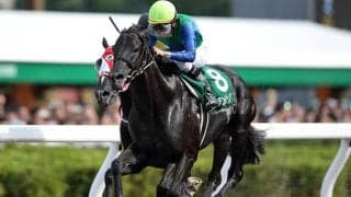 【JRA】ハイランドピークが浦和競馬に移籍、2018年エルムS覇者