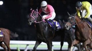 東京ダービー、帝王賞などで増額　令和3年度の南関東重賞の賞金等が決定