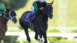 【高知・黒船賞枠順確定】グリムは3枠3番、モジアナフレイバーは6枠8番