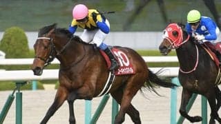 【阪神大賞典想定】前年覇者ユーキャンスマイル、AJCC覇者アリストテレスなど16頭