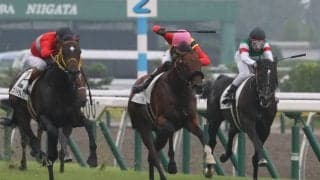 【スプリングS登録馬】ランドオブリバティなど17頭が登録