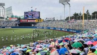 ヤクルト、育成・近藤弘樹と支配下選手契約　楽天17年ドラ1、背番号「52」