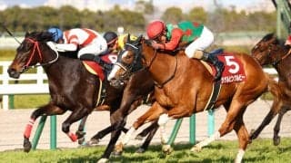 【フィリーズレビュー】シゲルピンクルビーがV！半姉はシゲルピンクダイヤ