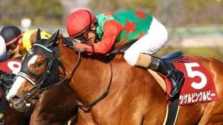 【フィリーズレビュー】和田竜「イメージ通り行けた」シゲルピンクルビーがV