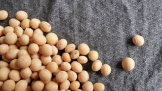 健康な生活に欠かせない食品？「豆」